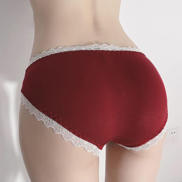 Sexy Low-Rise Lace Panties - Women's Comfortable Lingerie S-L - Image 2